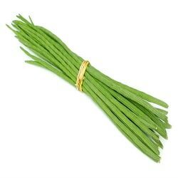 Drumstick Sajna
