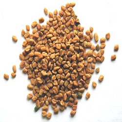 Methi (Fenugreek Seeds)